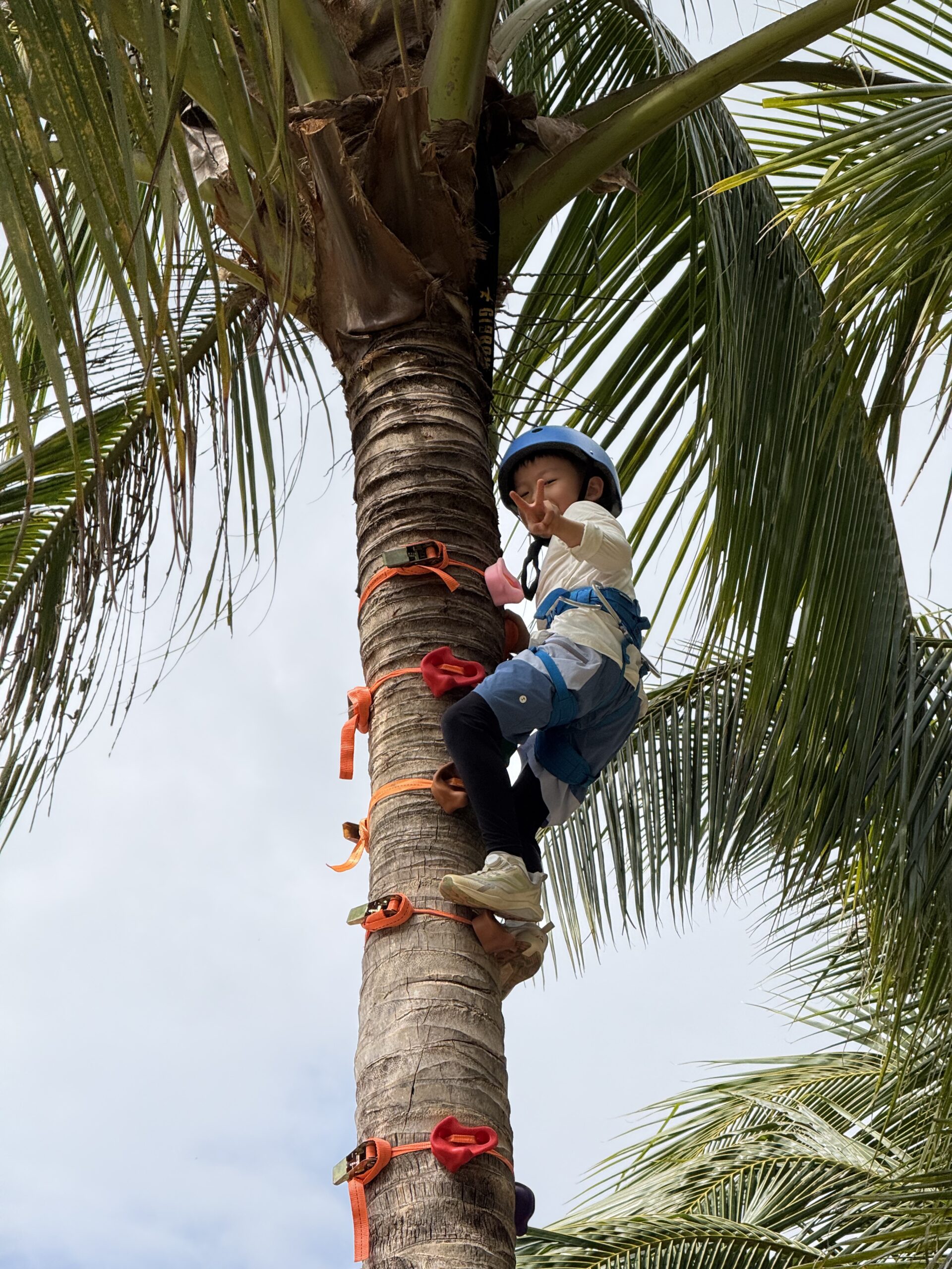 Hainan Tropical Vactions