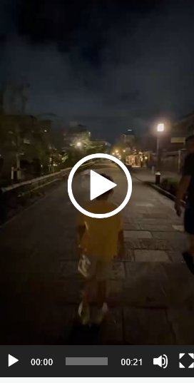 Japan 2025 Part 7